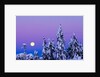 Moonset. From Grouse Mountain, Vancouver, British Columbia, Canada. by Anonymous