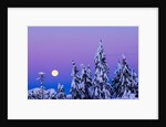 Moonset. From Grouse Mountain, Vancouver, British Columbia, Canada. by Anonymous