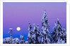 Moonset. From Grouse Mountain, Vancouver, British Columbia, Canada. by Anonymous