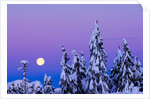 Moonset. From Grouse Mountain, Vancouver, British Columbia, Canada. by Anonymous