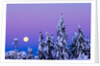 Moonset. From Grouse Mountain, Vancouver, British Columbia, Canada. by Anonymous