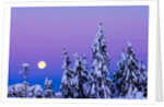 Moonset. From Grouse Mountain, Vancouver, British Columbia, Canada. by Anonymous