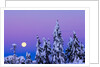 Moonset. From Grouse Mountain, Vancouver, British Columbia, Canada. by Anonymous