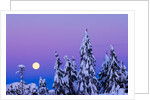 Moonset. From Grouse Mountain, Vancouver, British Columbia, Canada. by Anonymous