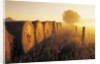 Misty Morning, Farmland and Wheat Straw Rolls, Near St. Adolphe, Manitoba, Canada by Anonymous