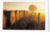 Misty Morning, Farmland and Wheat Straw Rolls, Near St. Adolphe, Manitoba, Canada by Anonymous
