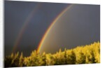 A Double Rainbow During a Storm in Banff National Parknear Banff Alberta, Canada. by Anonymous