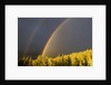A Double Rainbow During a Storm in Banff National Parknear Banff Alberta, Canada. by Anonymous