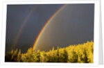 A Double Rainbow During a Storm in Banff National Parknear Banff Alberta, Canada. by Anonymous