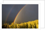 A Double Rainbow During a Storm in Banff National Parknear Banff Alberta, Canada. by Anonymous