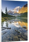 Mount Edith Cavell Reflected in Cavell Lake in Jasper National Park, Alberta, Canada. by Anonymous