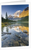Mount Edith Cavell Reflected in Cavell Lake in Jasper National Park, Alberta, Canada. by Anonymous