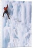 An Ice Climber Ascending the Malignant Mushroom, WI 5, Ghost River, Alberta, Canada by Anonymous