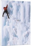 An Ice Climber Ascending the Malignant Mushroom, WI 5, Ghost River, Alberta, Canada by Anonymous