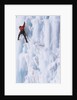 An Ice Climber Ascending the Malignant Mushroom, WI 5, Ghost River, Alberta, Canada by Anonymous
