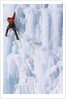 An Ice Climber Ascending the Malignant Mushroom, WI 5, Ghost River, Alberta, Canada by Anonymous