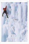 An Ice Climber Ascending the Malignant Mushroom, WI 5, Ghost River, Alberta, Canada by Anonymous