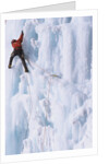 An Ice Climber Ascending the Malignant Mushroom, WI 5, Ghost River, Alberta, Canada by Anonymous