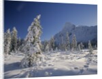 Mount Chephren and Mistaya Valley in Winter, Banff National Park, Alberta, Canada by Anonymous