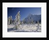 Mount Chephren and Mistaya Valley in Winter, Banff National Park, Alberta, Canada by Anonymous