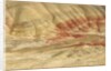 The Painted Hills at the John Day Fossil Beds National Monument, Oregon, USA by Anonymous