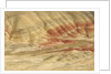 The Painted Hills at the John Day Fossil Beds National Monument, Oregon, USA by Anonymous