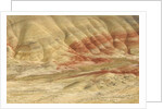 The Painted Hills at the John Day Fossil Beds National Monument, Oregon, USA by Anonymous