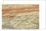 The Painted Hills at the John Day Fossil Beds National Monument, Oregon, USA by Anonymous