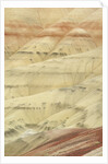 The Painted Hills at the John Day Fossil Beds National Monument, Oregon, USA by Anonymous