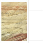 The Painted Hills at the John Day Fossil Beds National Monument, Oregon, USA by Anonymous