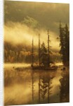 Nisga'a Lava Bed Memorial Provincial Park, Lava Lake in Autumn Mist, Nass River Valley, British Columbia, Canada. by Anonymous