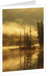 Nisga'a Lava Bed Memorial Provincial Park, Lava Lake in Autumn Mist, Nass River Valley, British Columbia, Canada. by Anonymous
