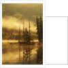 Nisga'a Lava Bed Memorial Provincial Park, Lava Lake in Autumn Mist, Nass River Valley, British Columbia, Canada. by Anonymous
