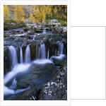 Lake O'Hara, Opabin Plateau, Cascade Lakes, Yoho National Park, British Columbia, Canada. by Anonymous