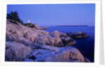 Point Atkinson Lighthouse Guides Mariners into Vancouver Harbour, Lighthouse Park, West Vancouver, Britsh Columbia, Canada. by Anonymous