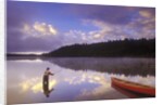 Fly-fishing at Dawn on 108 Mile Lake, British Columbia, Canada. by Anonymous