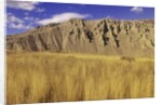 Grasslands at Farwell Canyon, British Columbia, Canada. by Anonymous