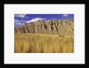 Grasslands at Farwell Canyon, British Columbia, Canada. by Anonymous