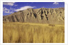 Grasslands at Farwell Canyon, British Columbia, Canada. by Anonymous