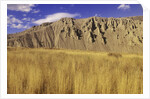 Grasslands at Farwell Canyon, British Columbia, Canada. by Anonymous