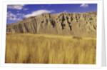 Grasslands at Farwell Canyon, British Columbia, Canada. by Anonymous