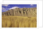 Grasslands at Farwell Canyon, British Columbia, Canada. by Anonymous