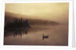 Fishing, Little Charlotte Lake, Chilcotin Region, British Columbia, Canada. by Anonymous