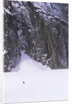 Backcountry Skier Underneath Snowpatch Spire, Bugaboos, British Columbia, Canada. by Anonymous