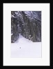 Backcountry Skier Underneath Snowpatch Spire, Bugaboos, British Columbia, Canada. by Anonymous