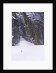Backcountry Skier Underneath Snowpatch Spire, Bugaboos, British Columbia, Canada. by Anonymous