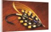 Hand Tied Atlantic Salmon Fishing Fly, British Columbia, Canada. by Anonymous