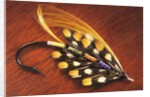 Hand Tied Atlantic Salmon Fishing Fly, British Columbia, Canada. by Anonymous