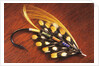 Hand Tied Atlantic Salmon Fishing Fly, British Columbia, Canada. by Anonymous