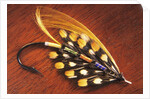 Hand Tied Atlantic Salmon Fishing Fly, British Columbia, Canada. by Anonymous